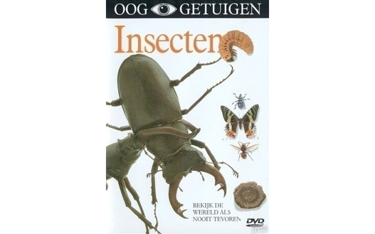 Ooggetuigen - Insecten