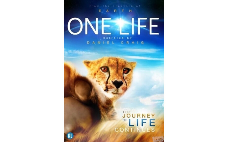 One Life