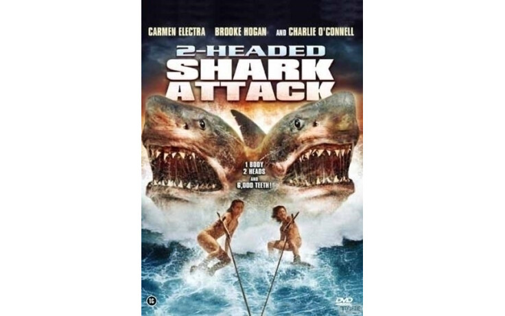 2 Headed Shark Attack