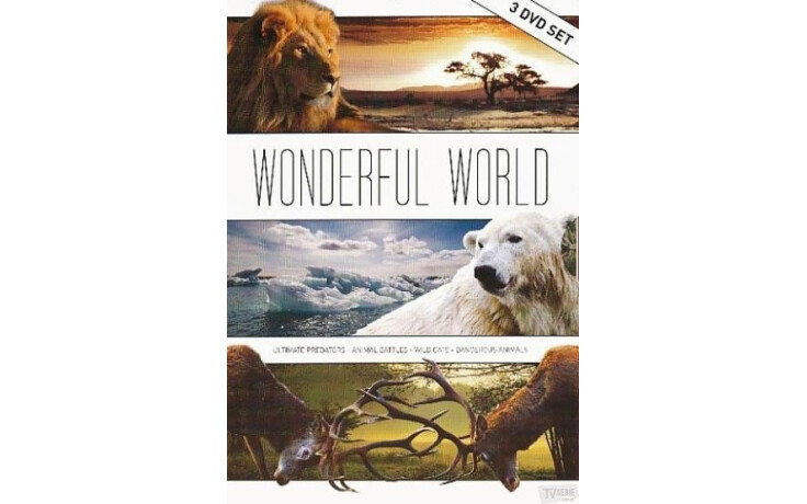 Wonderful World Box