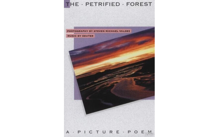 Steven Michael & Deu Valdez - The Petrified Forest