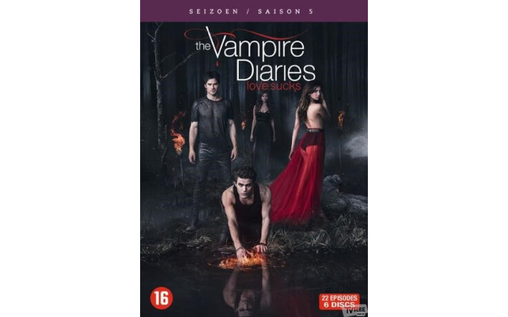 Vampire diaries - Seizoen 5