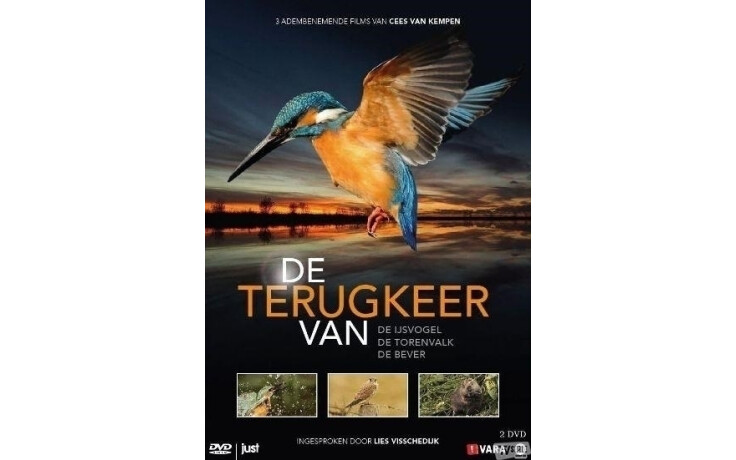 Terugkeer Van De Ijsvogel, Torenvalk En Bever