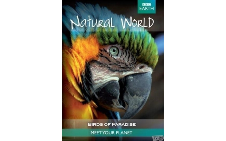 BBC Earth - Birds Of Paradise