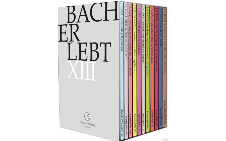 Various Artists - Bach Erlebt XIII