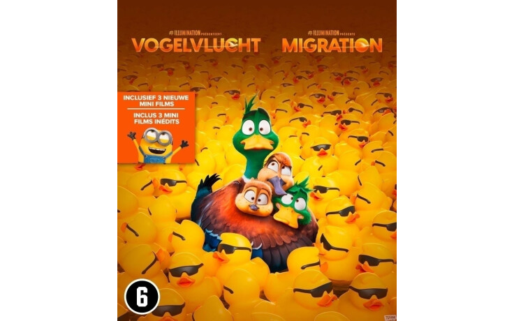 Migration (Vogelvlucht)