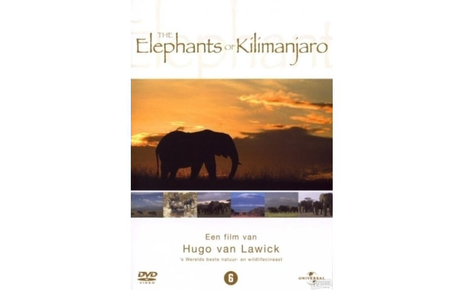 Elephants of Kilimanjaro