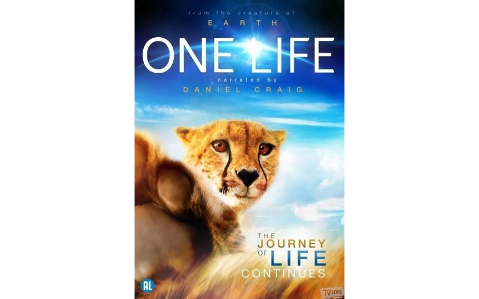One Life