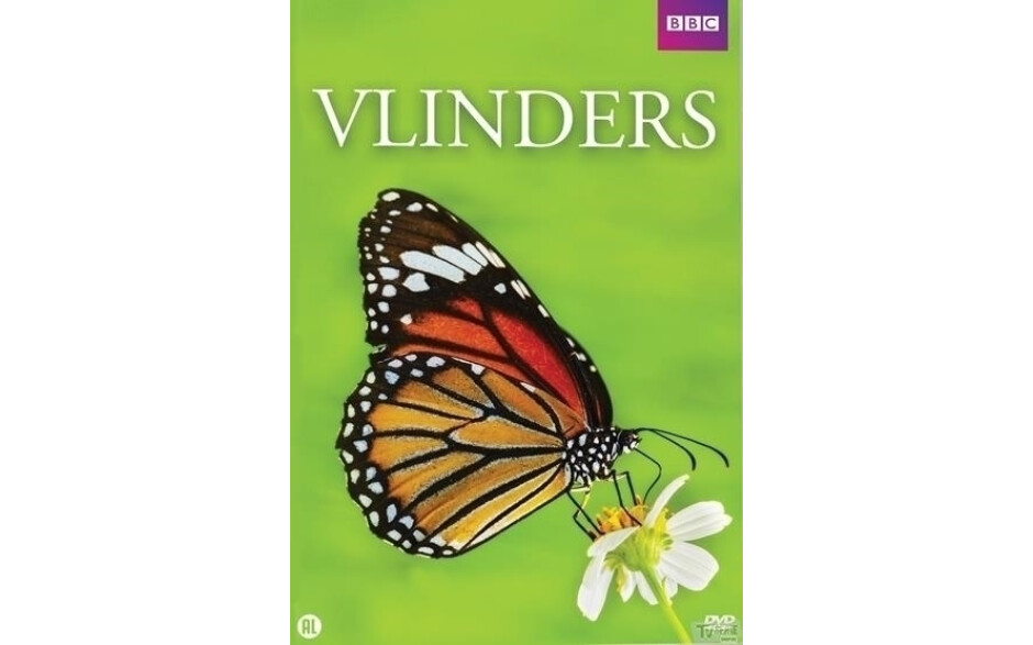 Vlinders