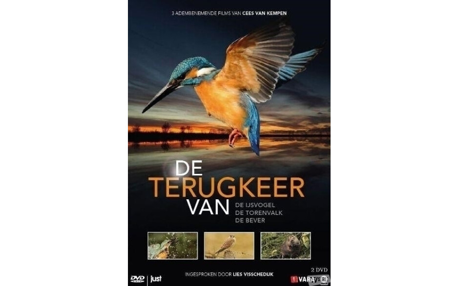 Terugkeer Van De Ijsvogel, Torenvalk En Bever