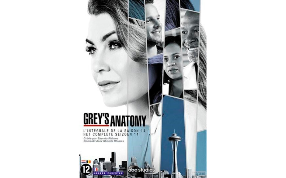 Grey's Anatomy - Seizoen 14