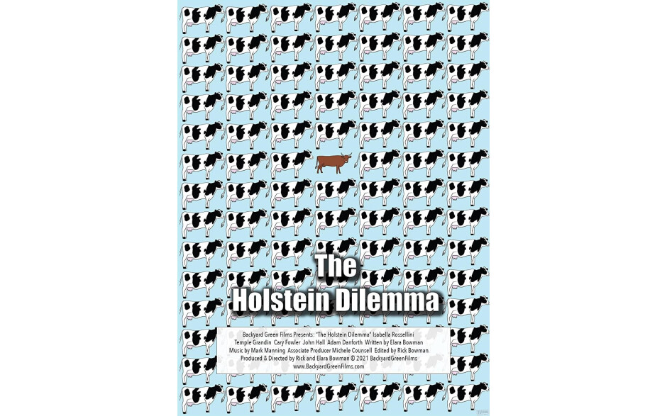 Holstein Dilemma