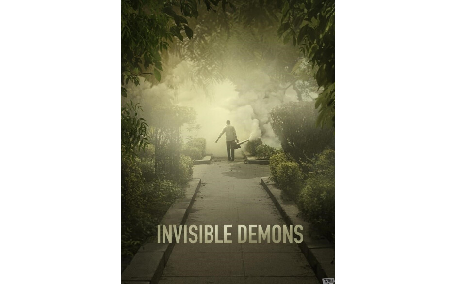 Invisible Demons