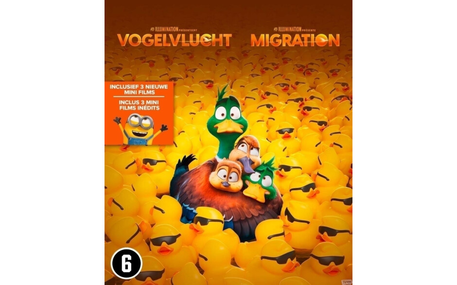 Migration (Vogelvlucht)